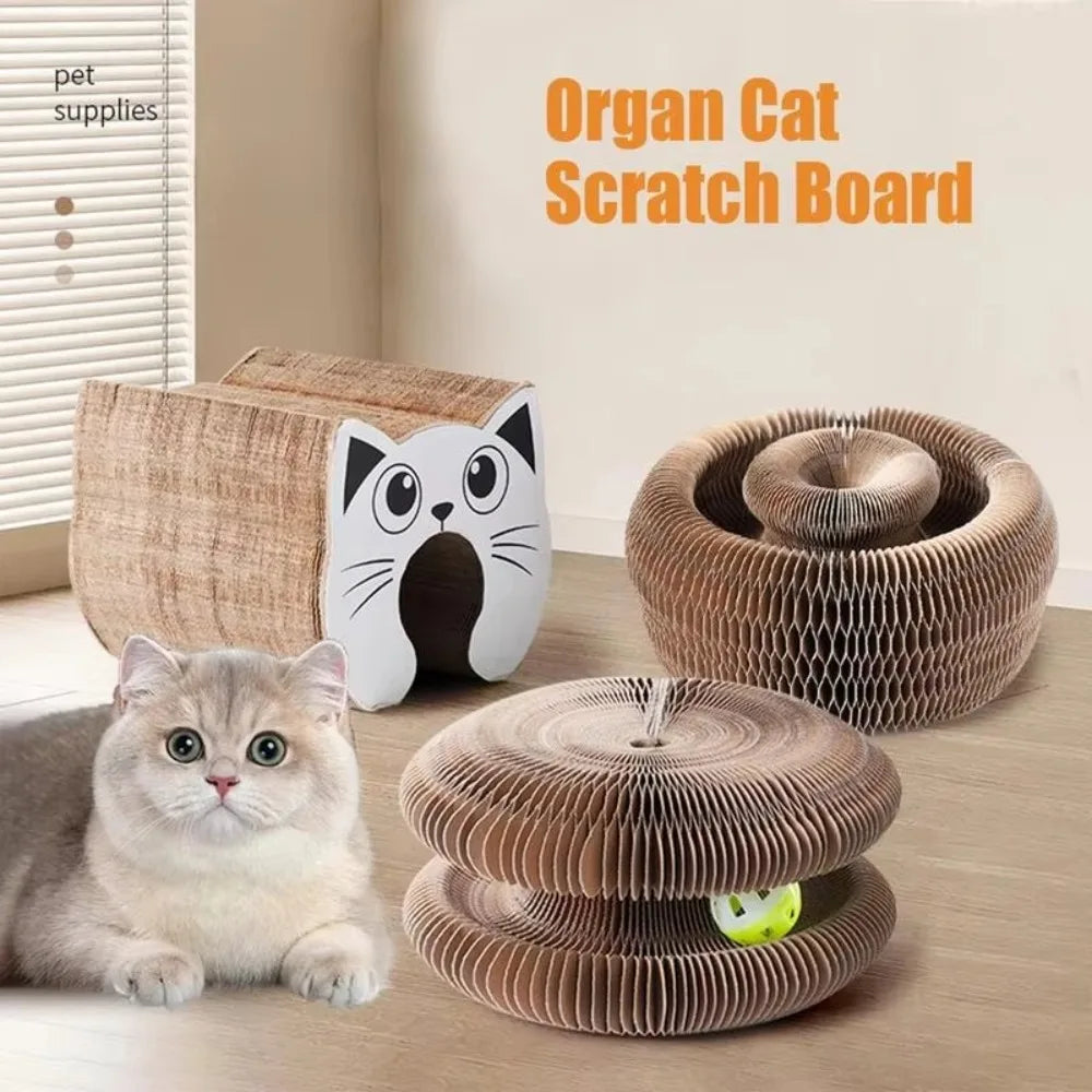 Terify®️Magic Organ Kitty Kurlz Cat Toy Wear-Resistant No Crumbs Cat Scratching Board 🐱🐈