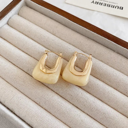 Terify®️Green Pink Transparent Resin Earrings For Women Girls 🩷